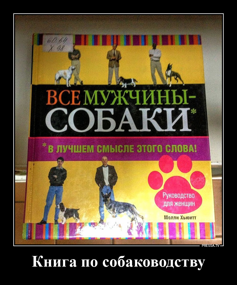 ��� ��������