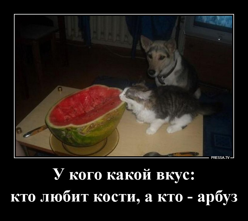 ��� � ����� �� �����