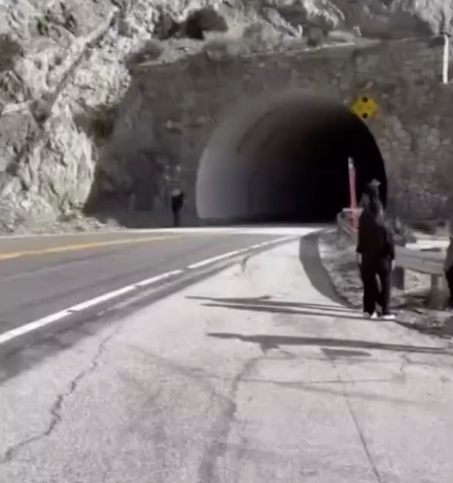 � ��� ����� ���� ��������, ��������� Call of Duty � Battlefield 6