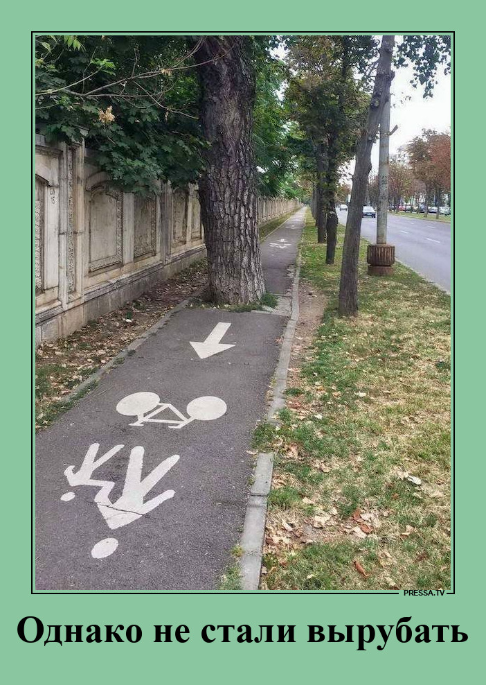 ���� �� �������