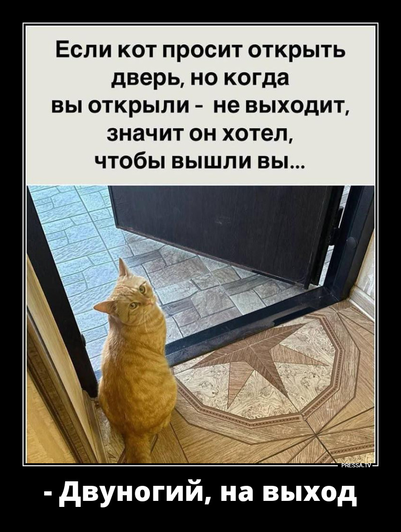 ���� �����, �������