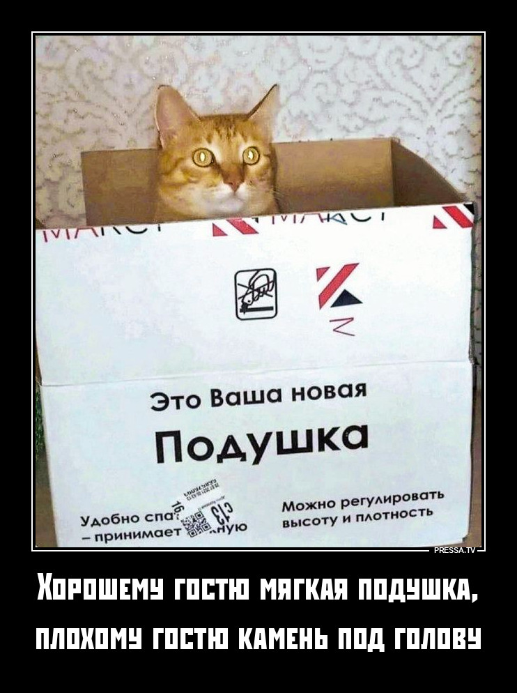 ���� �������