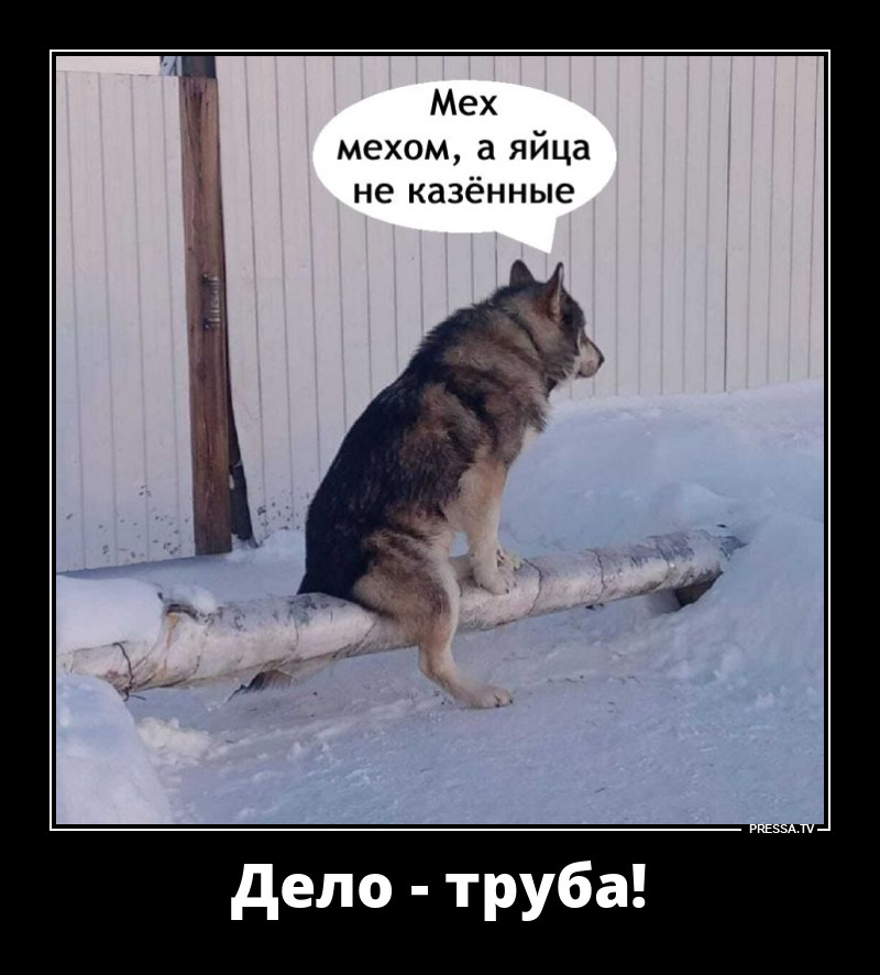 ����� ����