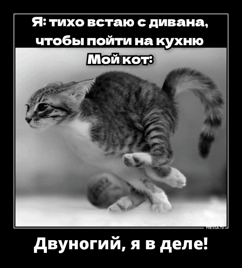 ���� ��������