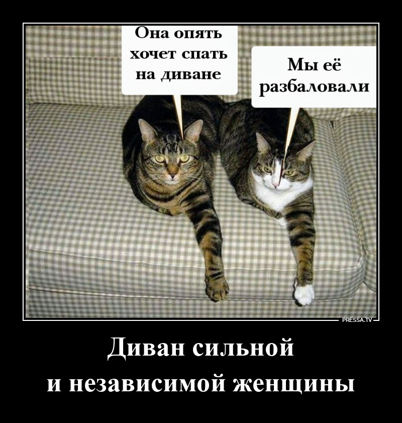 Наташин диван