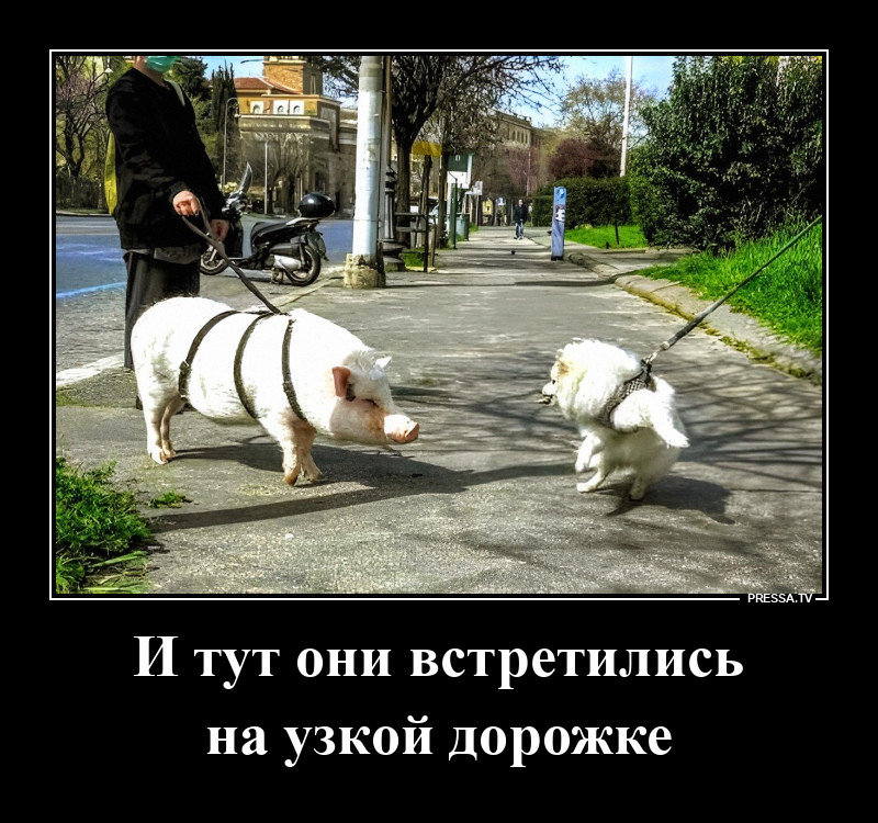 ��� ��� �������