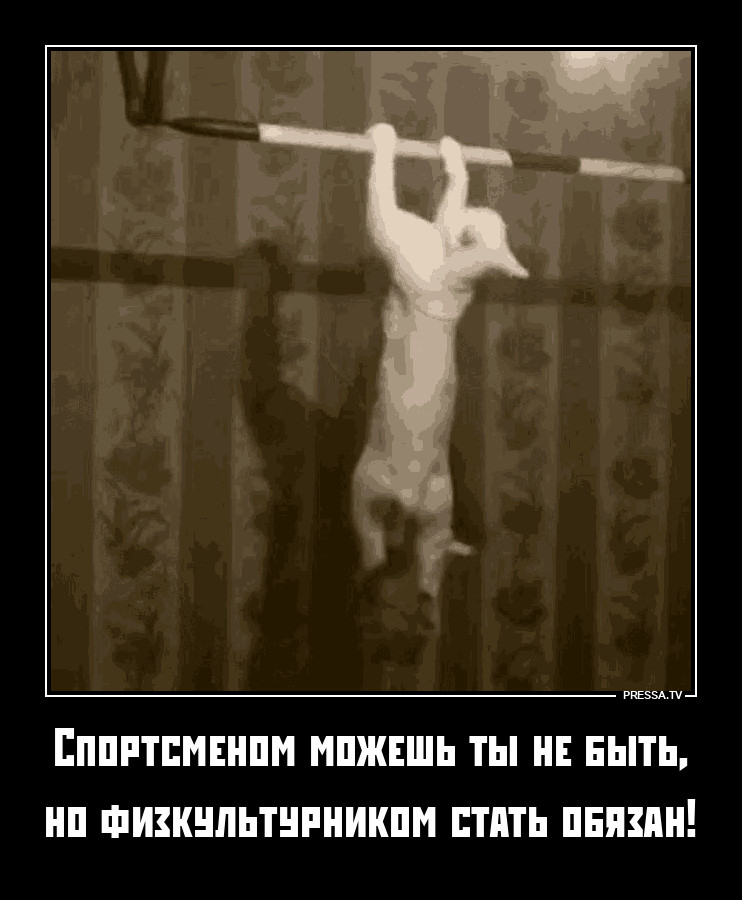 ������������ �� �������