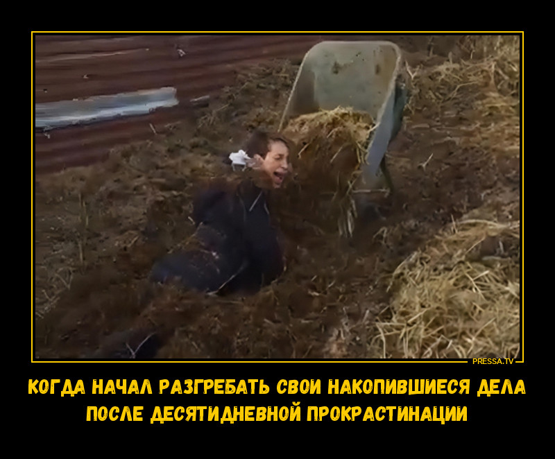 ����� ���������� ����������