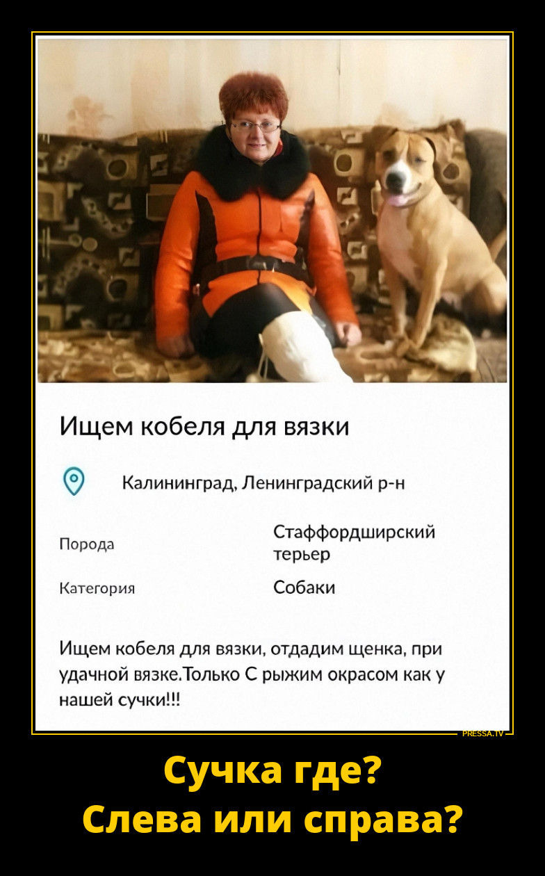 ����� �� ��� �����?