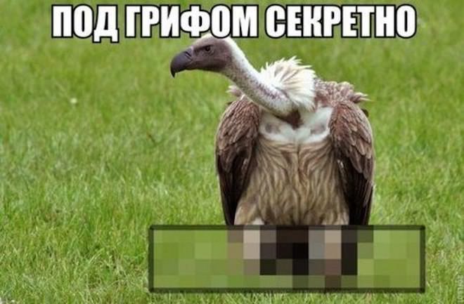 ���� � �������� 