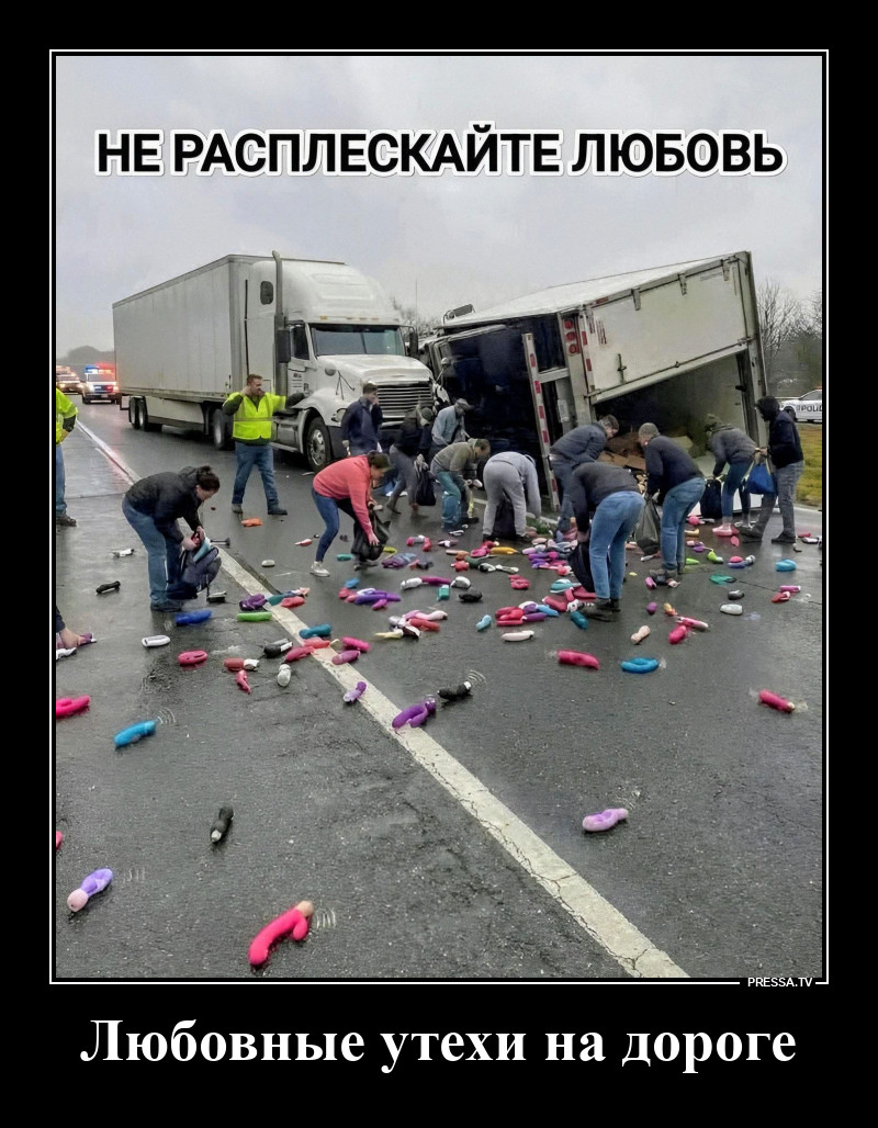 ������ ���������������