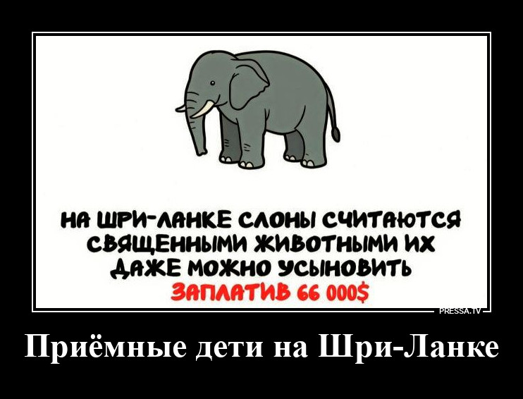 ����������� �� ���-�����