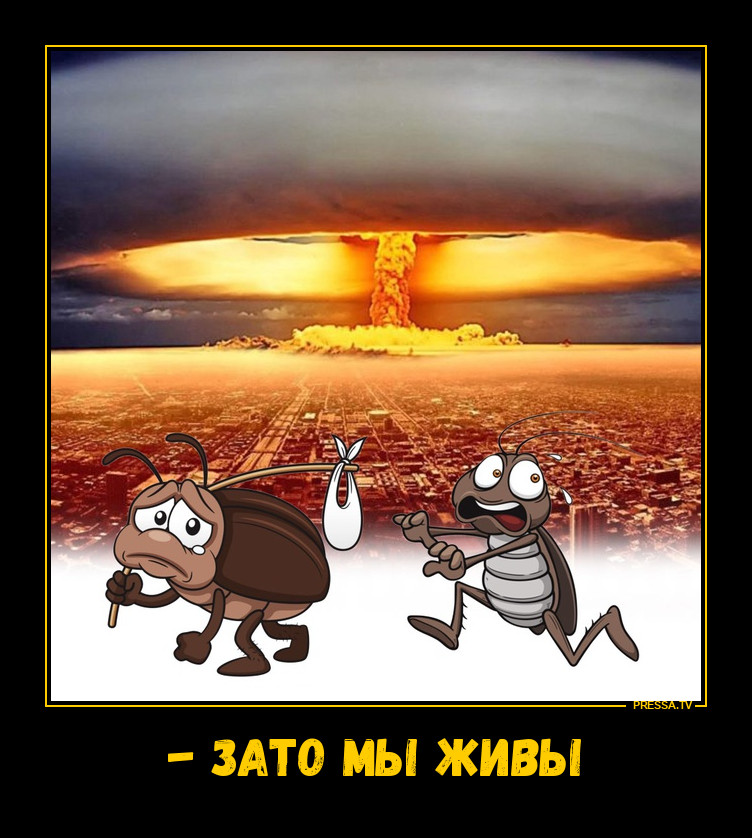 Тараканы выживут