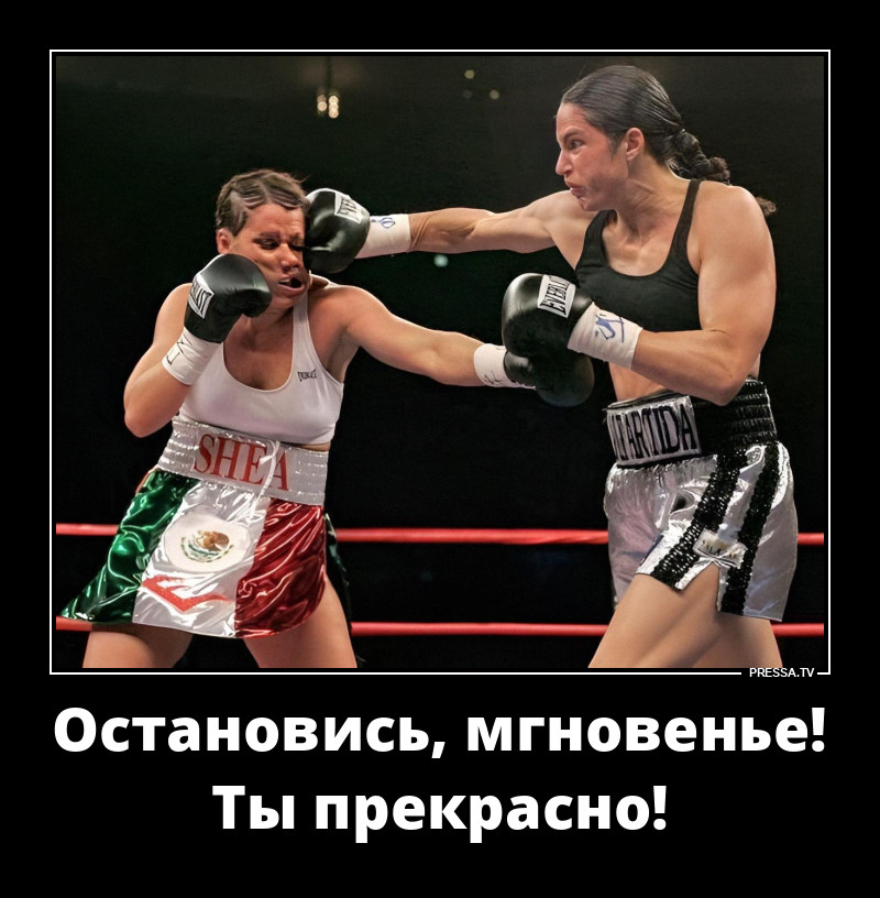 ������� ����