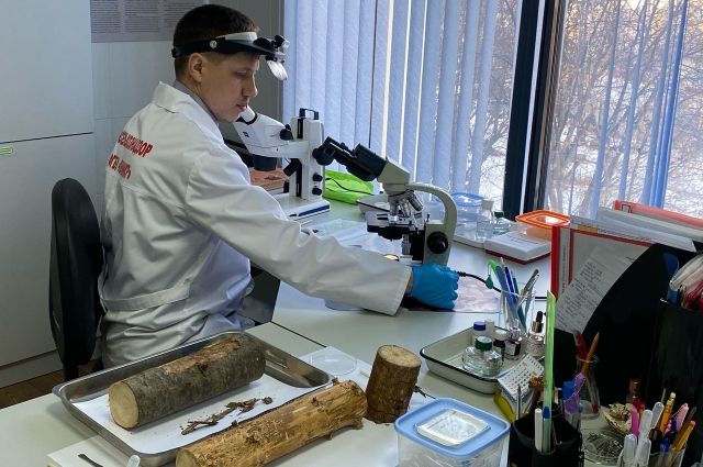 �������������� ����������: ���� � ���������� ������������� �������� ����������