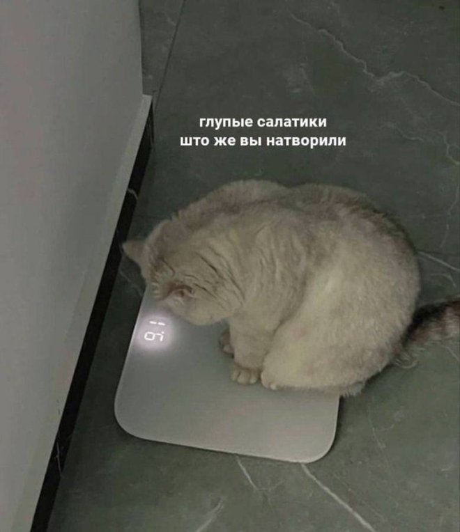 ���� � ��������