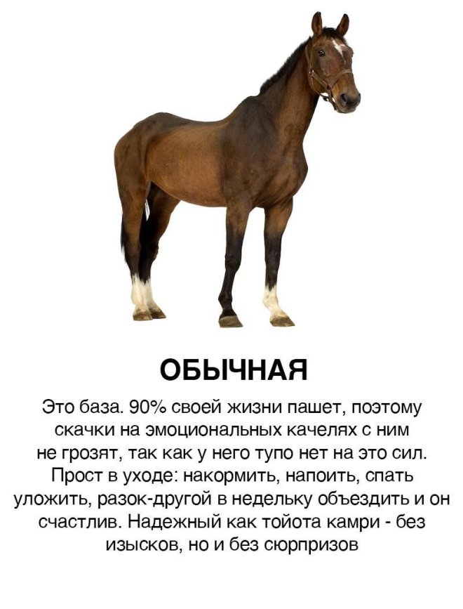 � ���� ��������� ������������� ������ � ������� � ���� �������