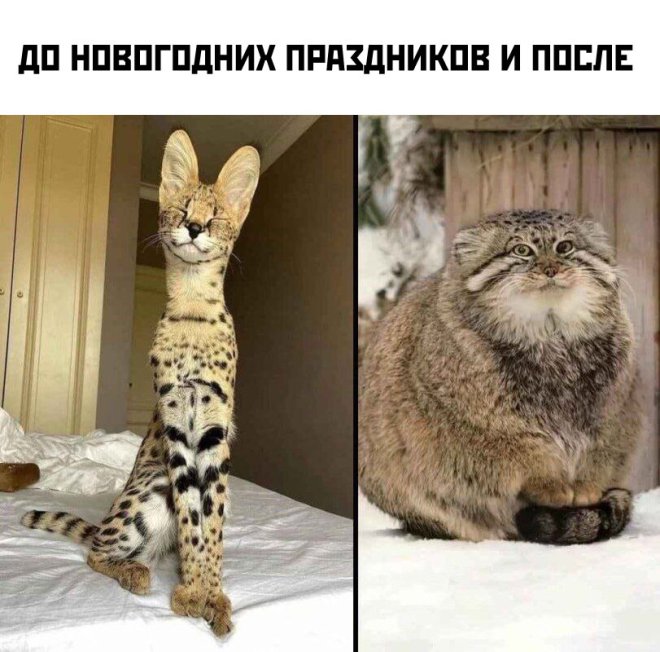 ���� � ��������