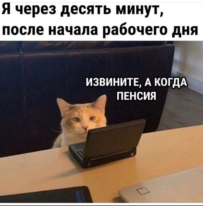 ���� � ��������