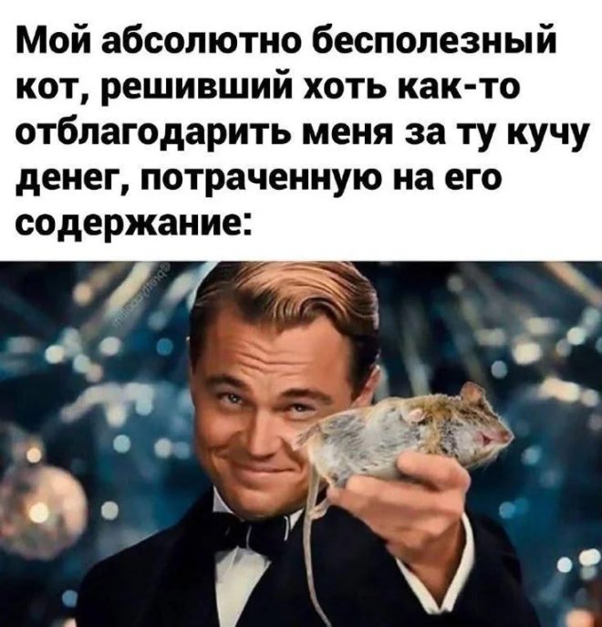 ���� � ��������