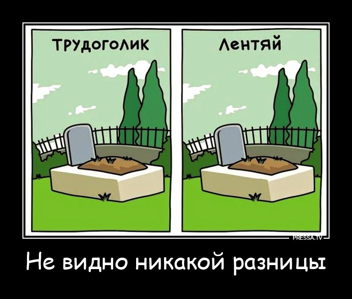 ��� �������