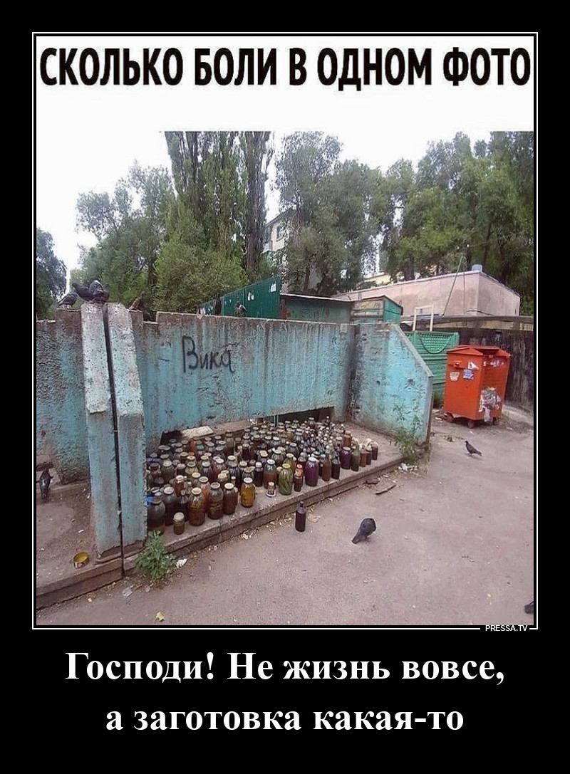 ����� ����