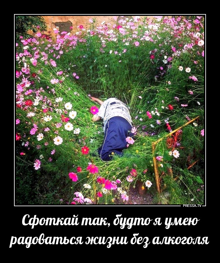 �����, �����