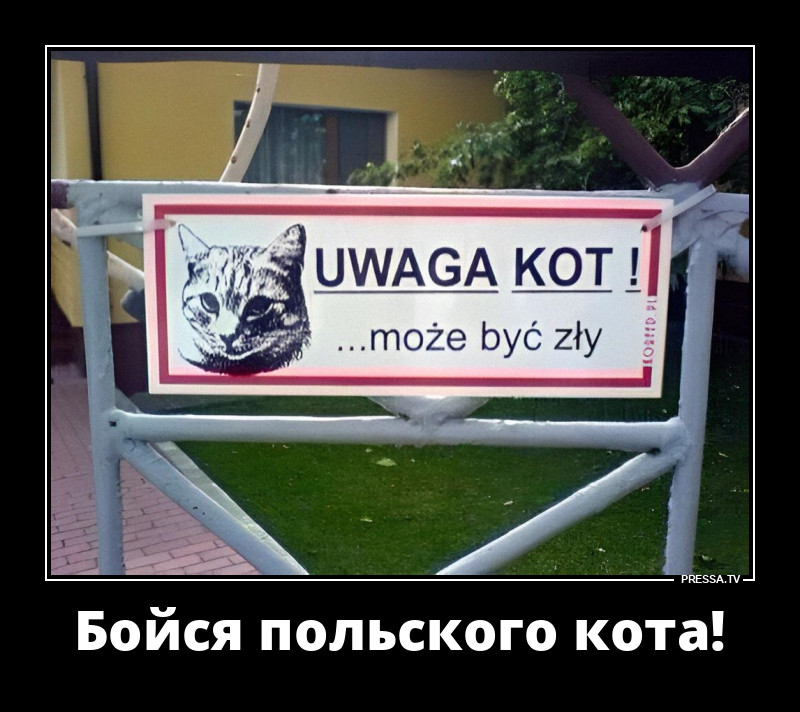 �������� ���