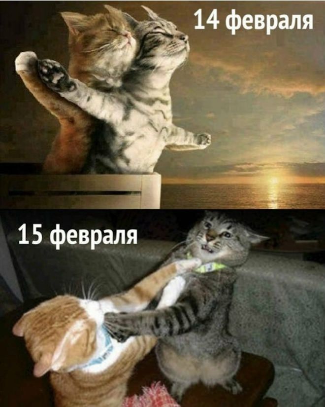 ���� � �������� 