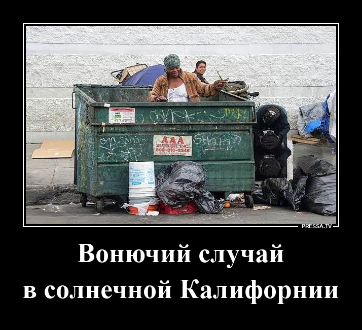 Солнечная Калифорния