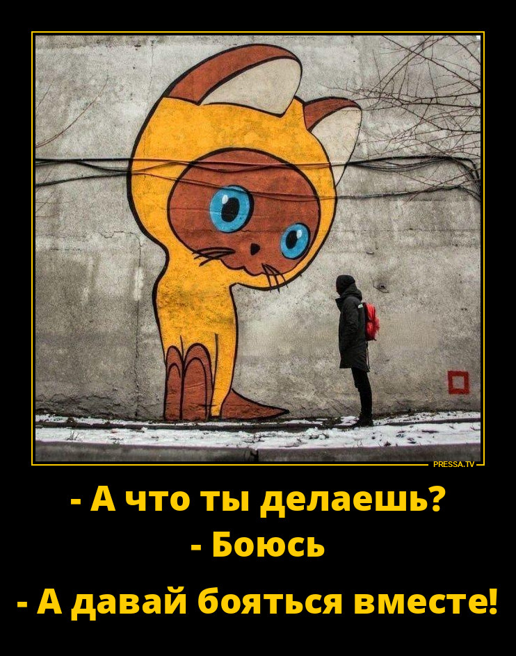 ������ ���