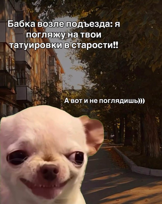 ���� � ��������