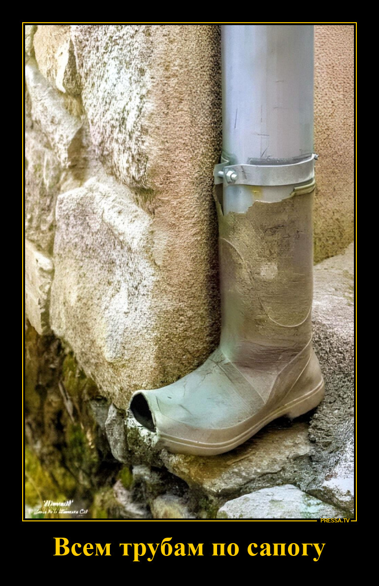 ���� �����