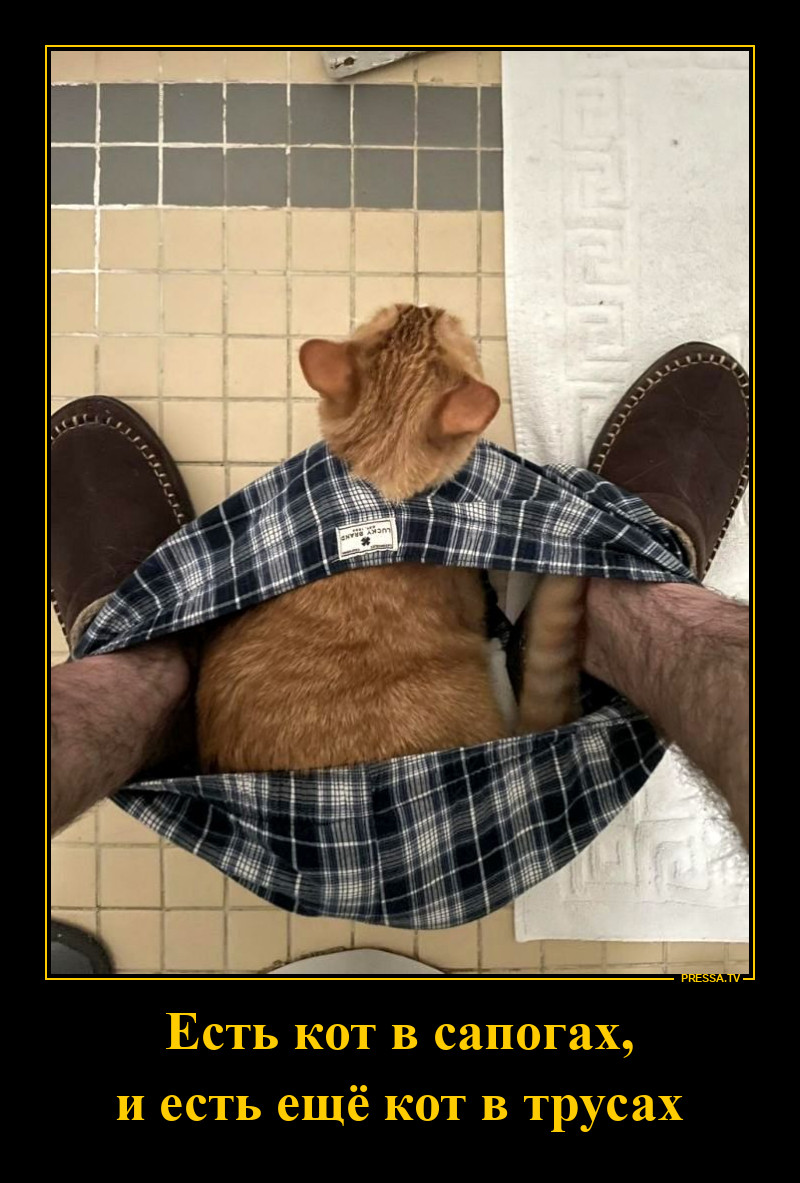 ��� � ������