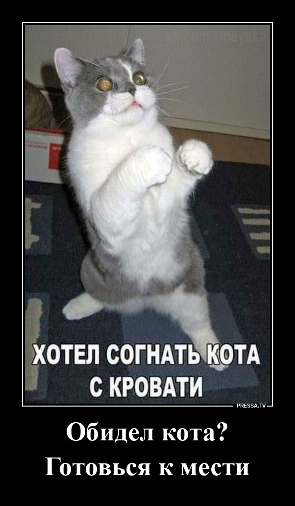 ��������, ��� �� �������� ����