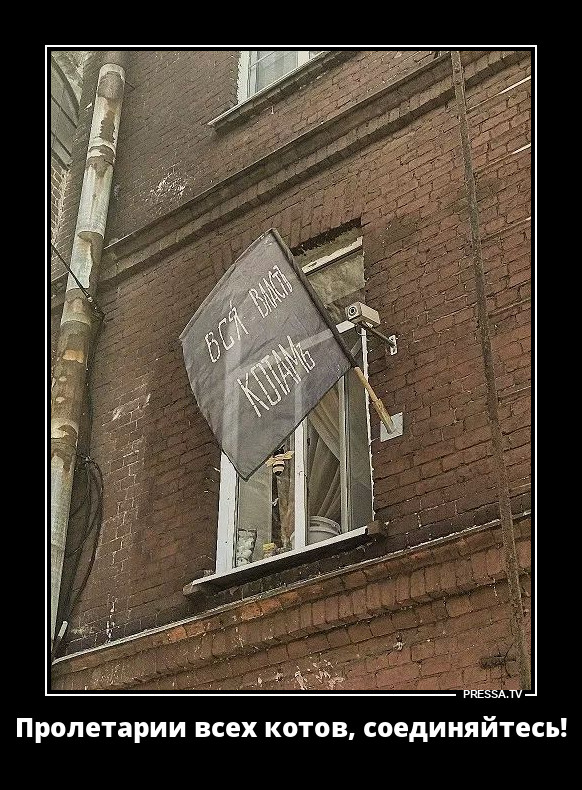 ��� ������ �����