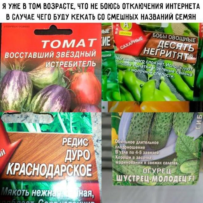 ���� � �������� 