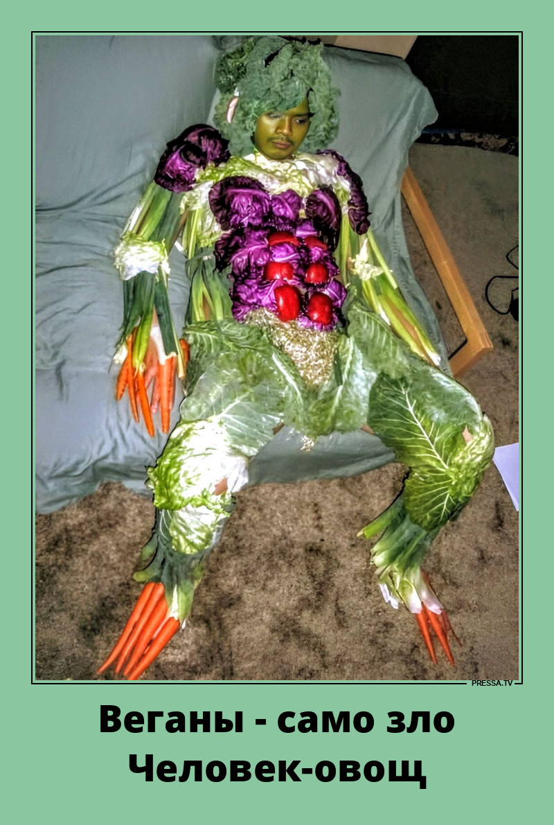 �������� �����