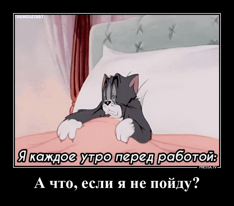 ��������� ���������