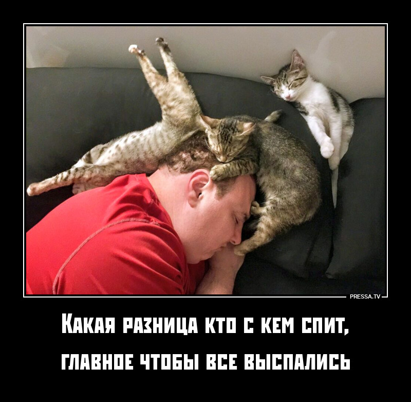 ������������� ���� ���