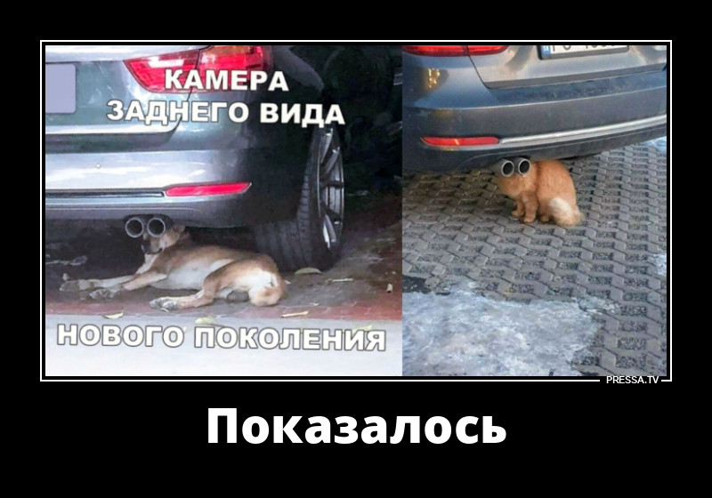 ������ ������� ����