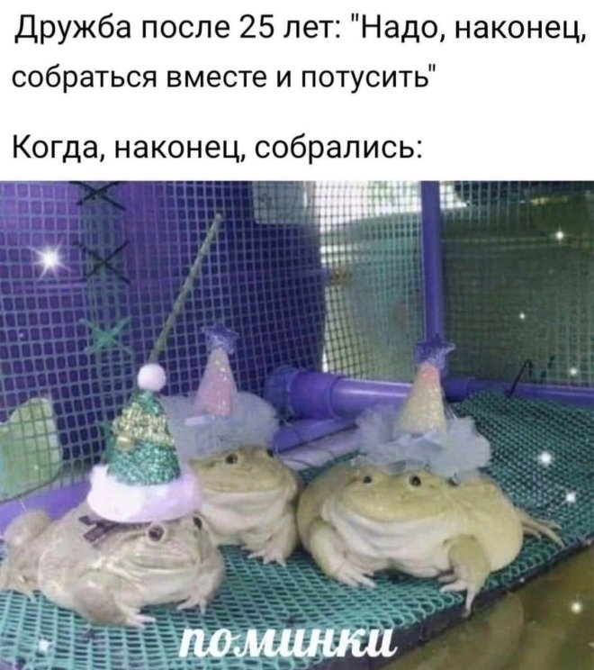 ���� � ��������