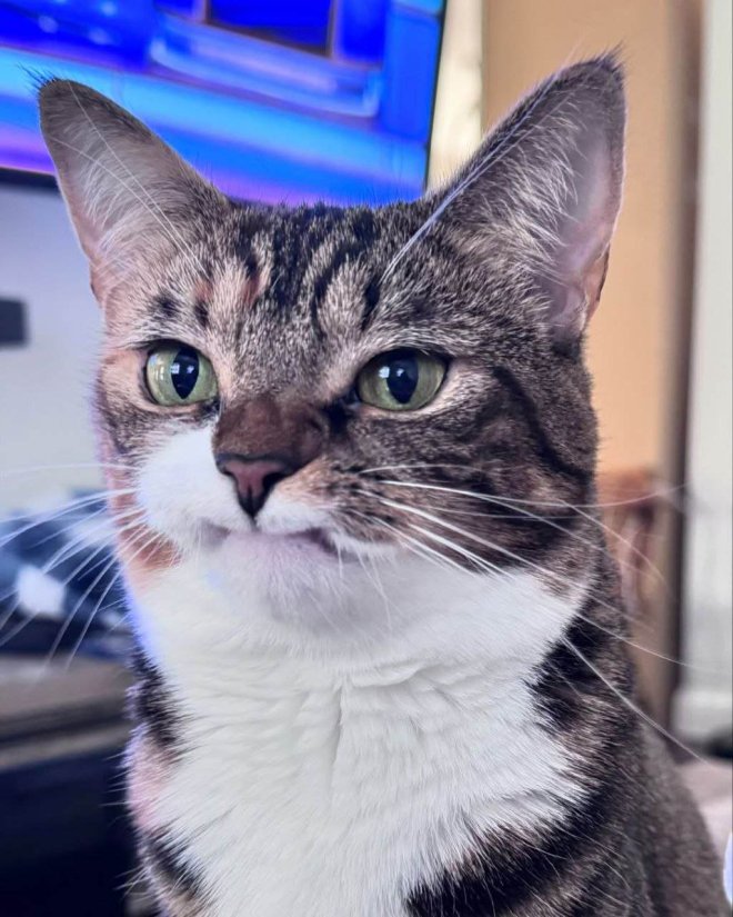 � ���� ��������� ��� �� ������ ��������