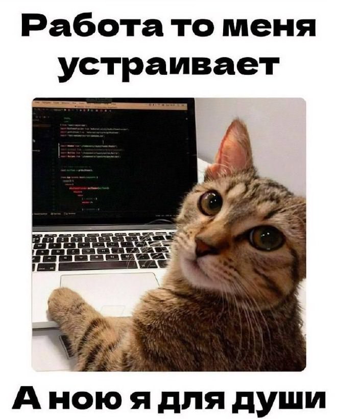 ���� � ��������