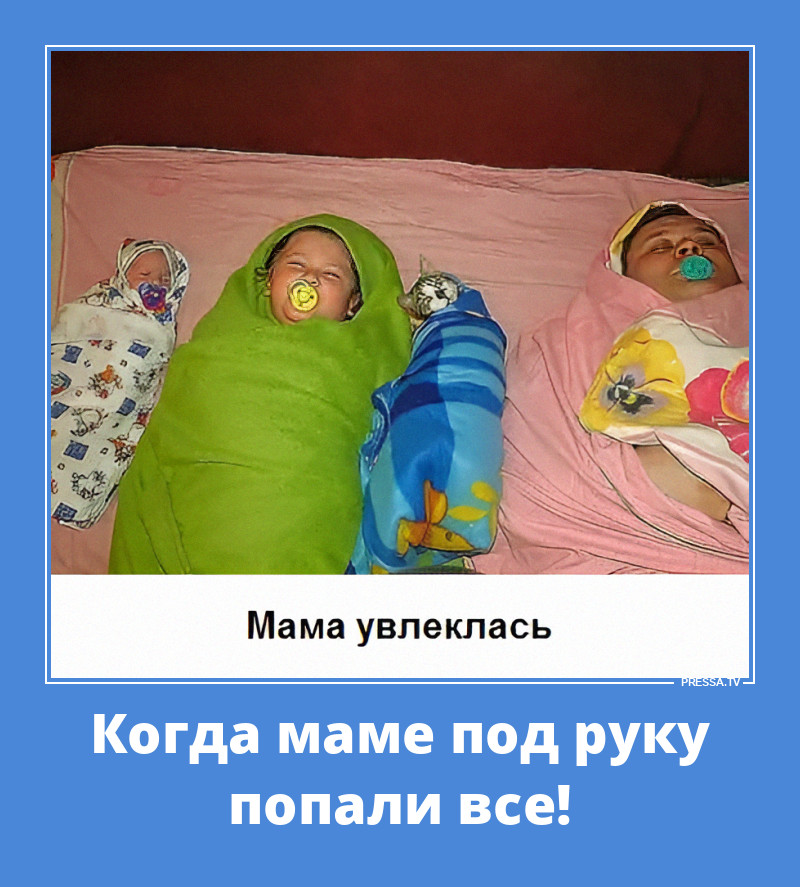 ���� ���������