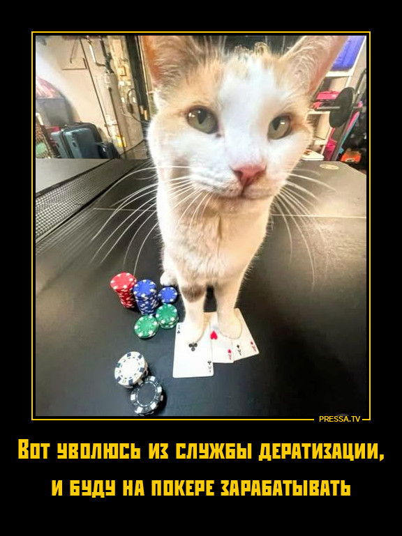 Игрок