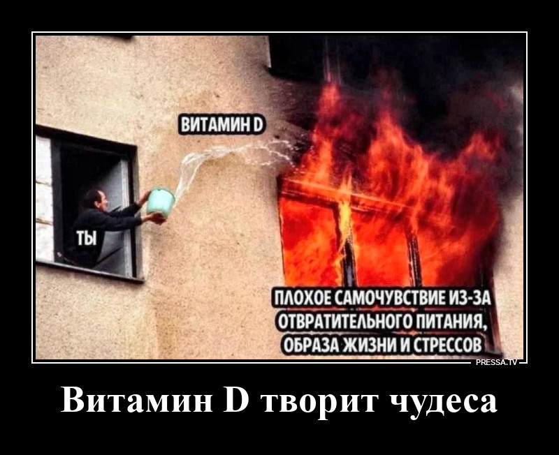 ������� D ��������