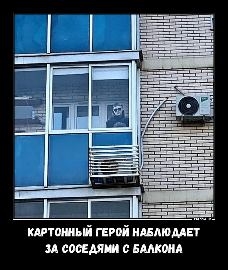 ������� ���������