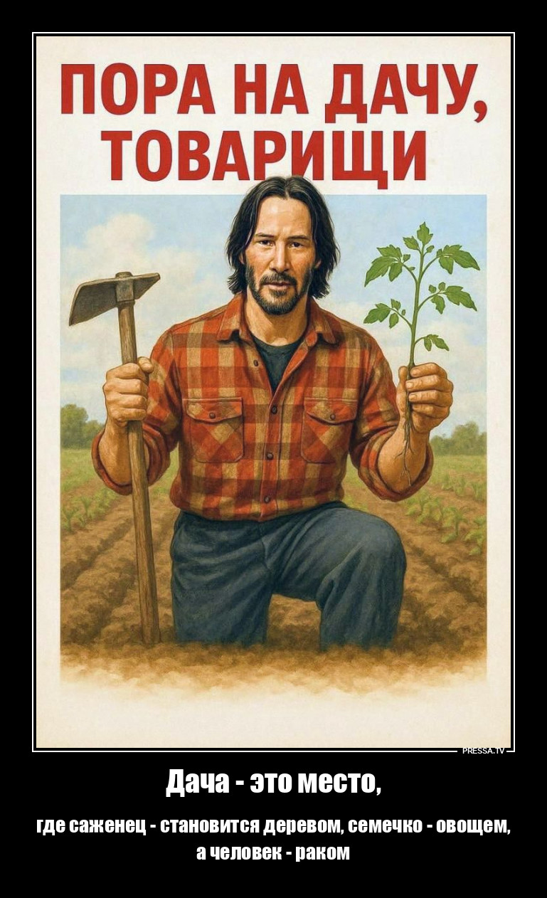 ���� �� ����