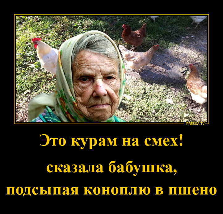 ����� �� ����